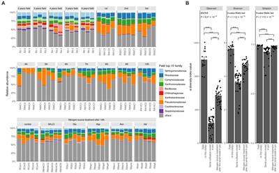 Role of microbial communities and nitrogen sources in suppressing root rot disease during ginseng cultivation